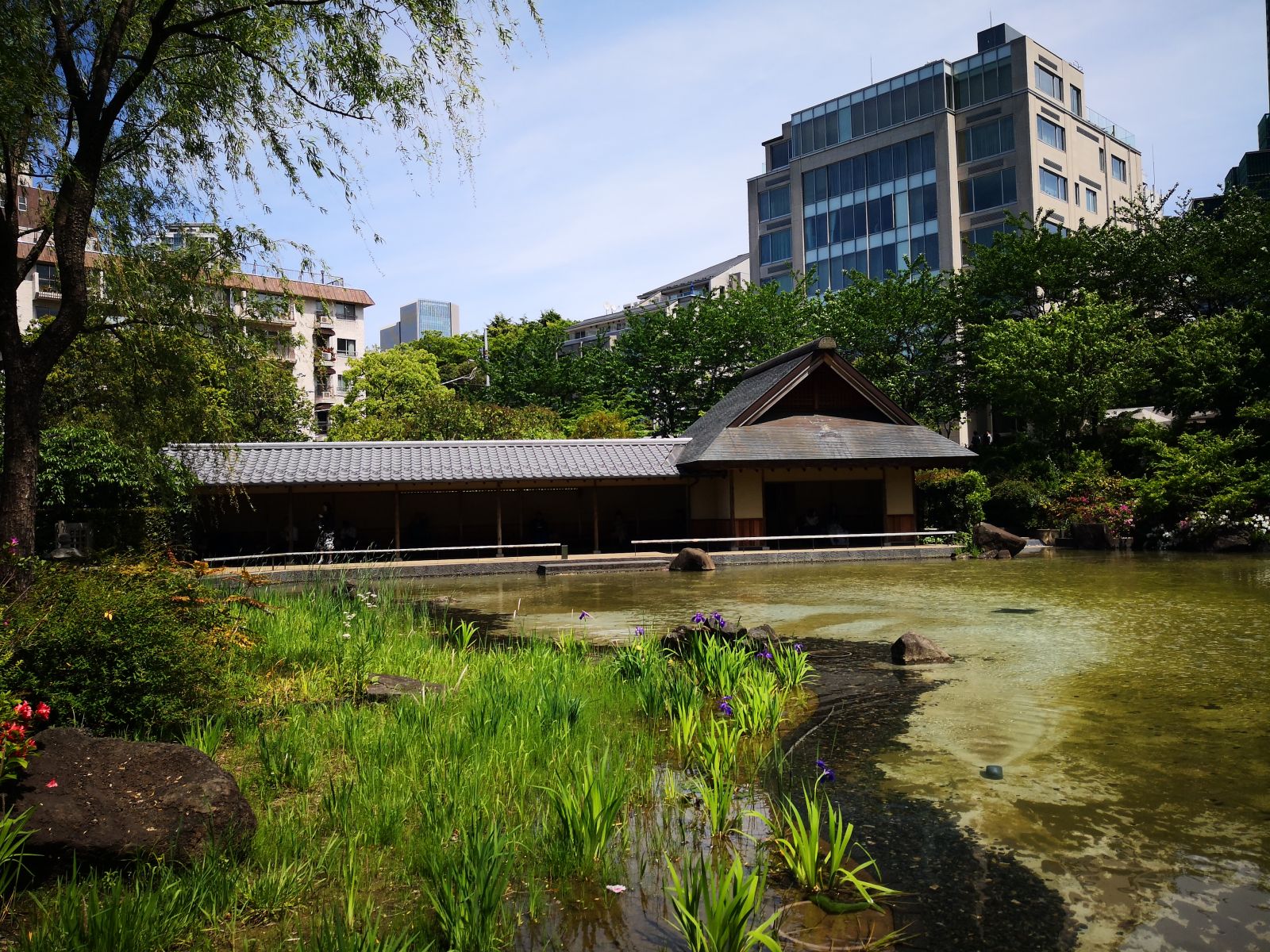 東京知名建筑與景觀參訪 與戶田芳樹大師對話